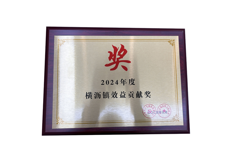 2024年度横沥镇效益贡献奖