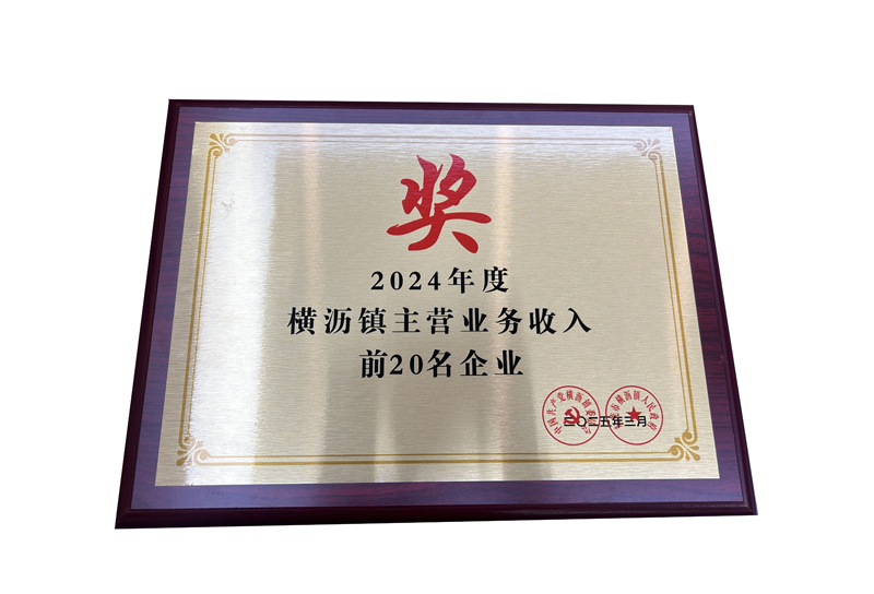 2024年度横沥镇主营业务收入前20名企业奖